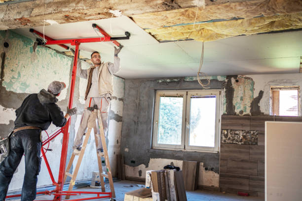 Best Insulation Contractors for Homes  in Lakeland, NY