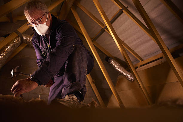 Best Home Insulation Services  in Lakeland, NY